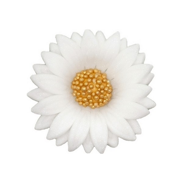 Daisy Double 054m White 4.5 cm (10)