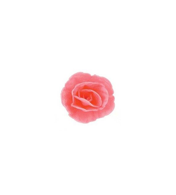 Wafer Rose Chinese Pink (35)