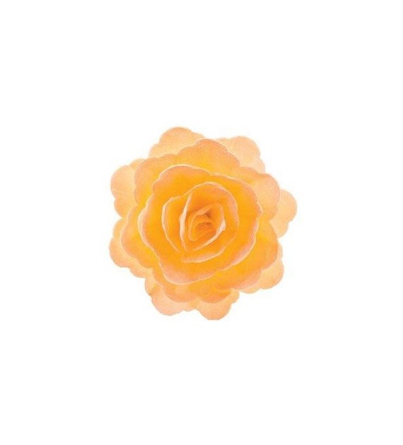 Wafer Rose Chinese Pale Yellow (15)