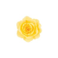 Wafer Rose Chinese Yellow (15)